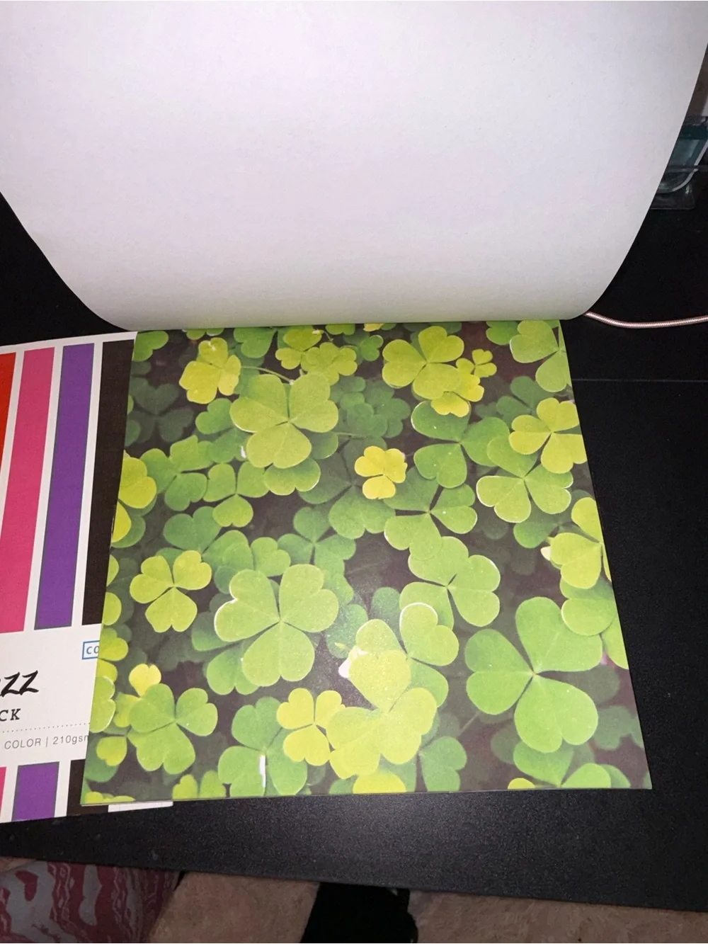 Primary Pizazz & Holidays 12x12 Designer Paper Pack Duo - Bright Multicolor